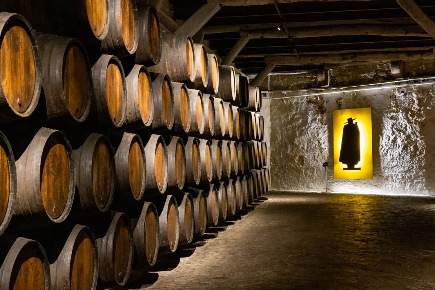 Sandeman Tour | One day in Porto